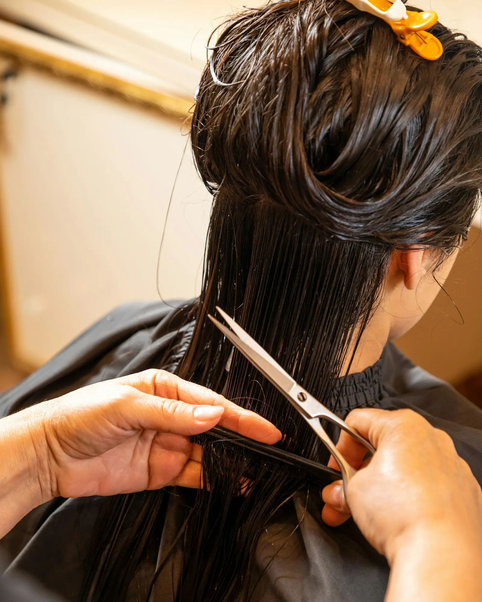 Stylist cutting wet hair with scissors