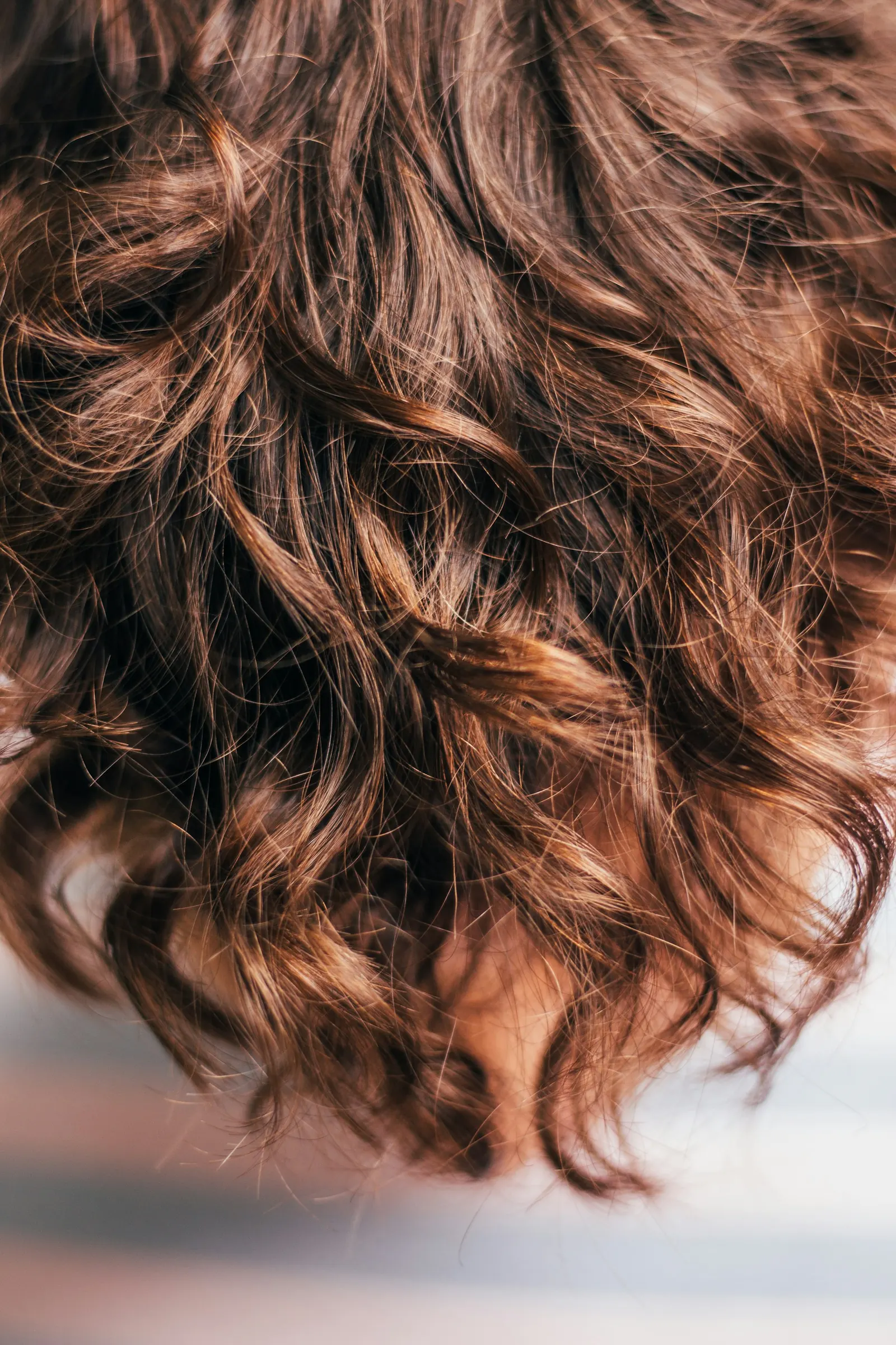 Healthy, defined curls after a treatment